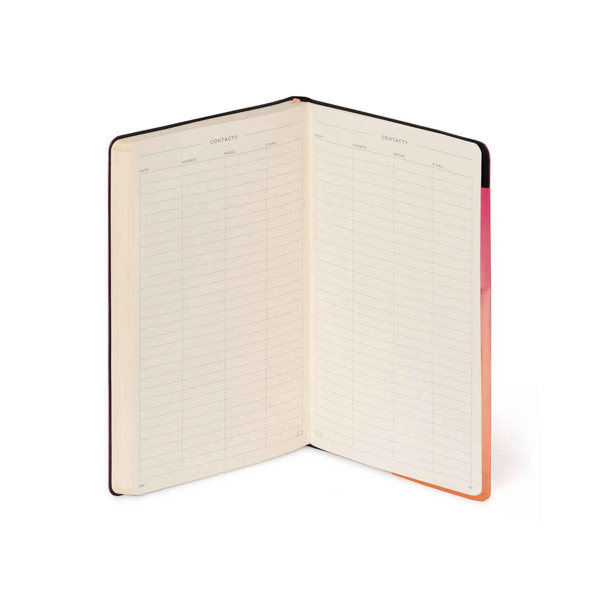 My Notebook - Plain - Medium, , zoo