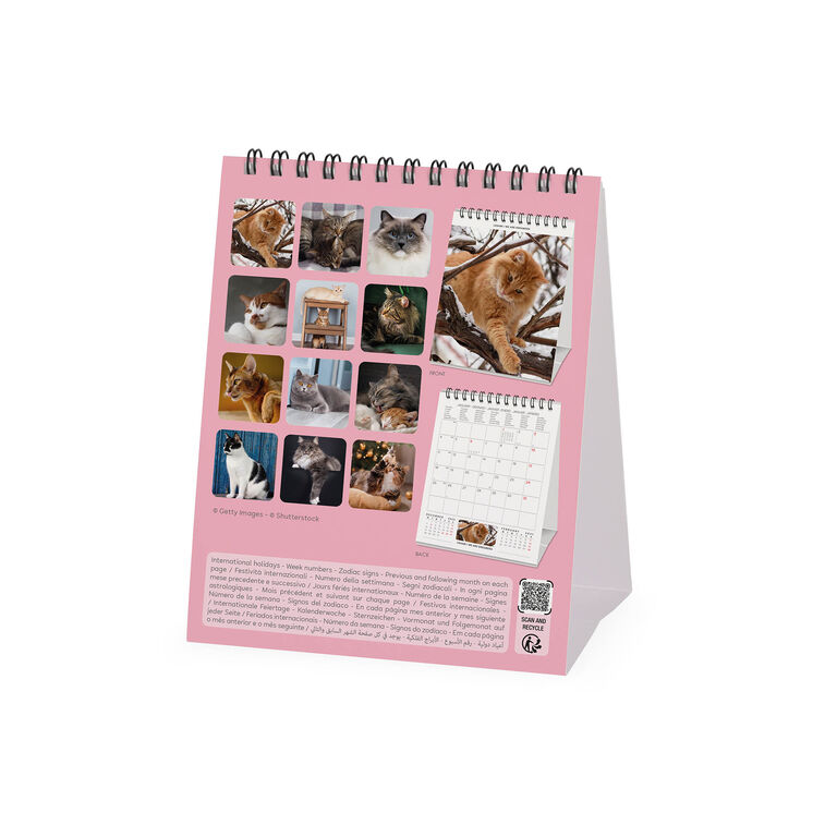 Calendario da Tavolo 2027 - 12 x 14,5 cm - Cats