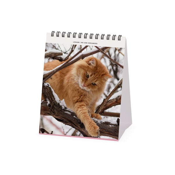 Calendario da Tavolo 2027 - 12 x 14,5 cm - Cats