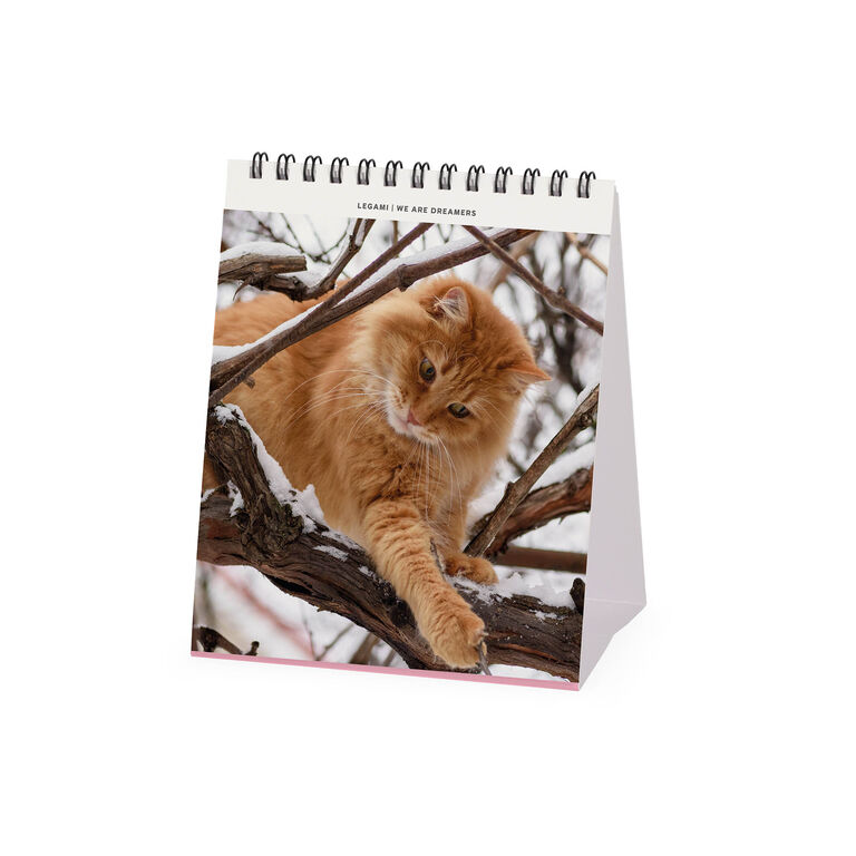 Calendario da Tavolo 2027 - 12 x 14,5 cm - Cats