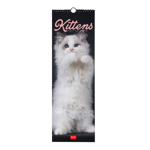 Calendario da Parete 2027 - 16 x 49 cm - Kittens