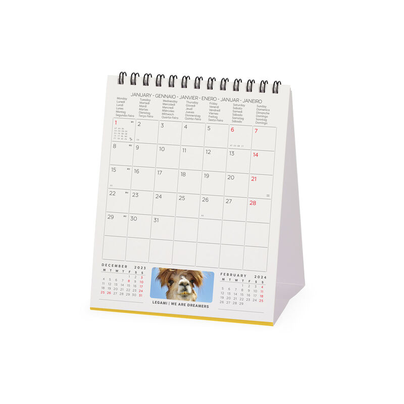 Calendario da Tavolo 2024 - 12 x 14.5 Cm TAKE IT EASY