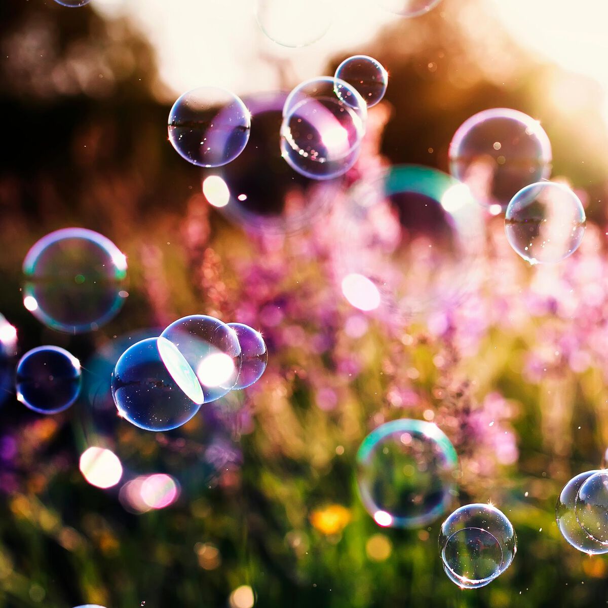 Seifenblasen - Bubble Bubble, , zoo