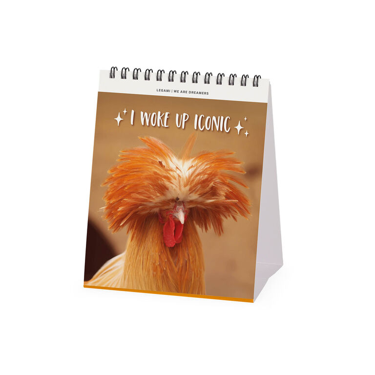 Calendario da Tavolo 2027 - 12 x 14,5 cm -Take It Easy Calendario da Tavolo 2027 - 12 x 14,5 cm -Take It Easy