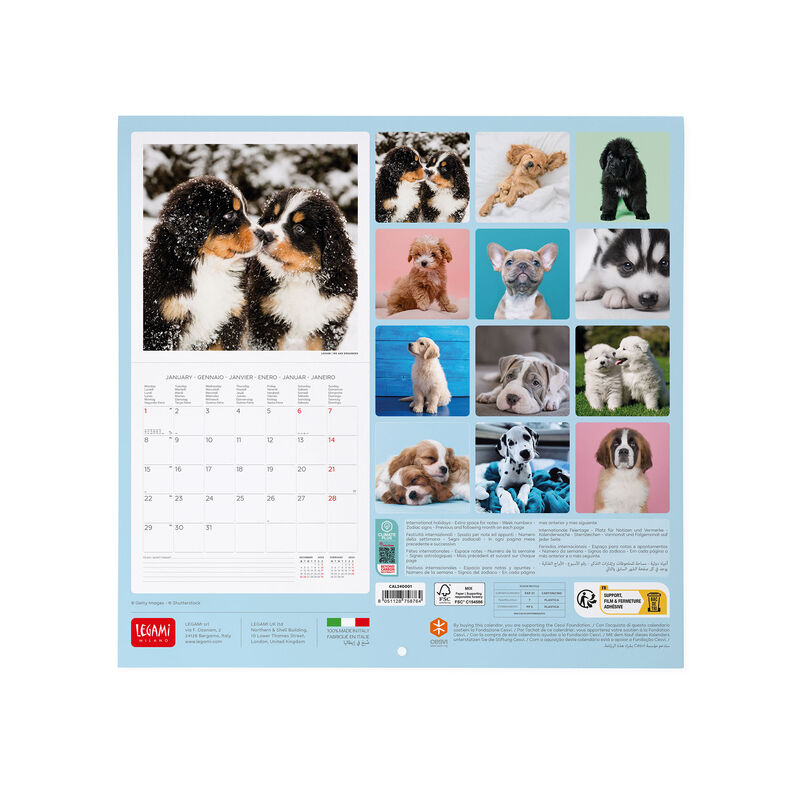 Wall Calendar 2024 - 30 x 29 Cm SWEET PUPPIES 
