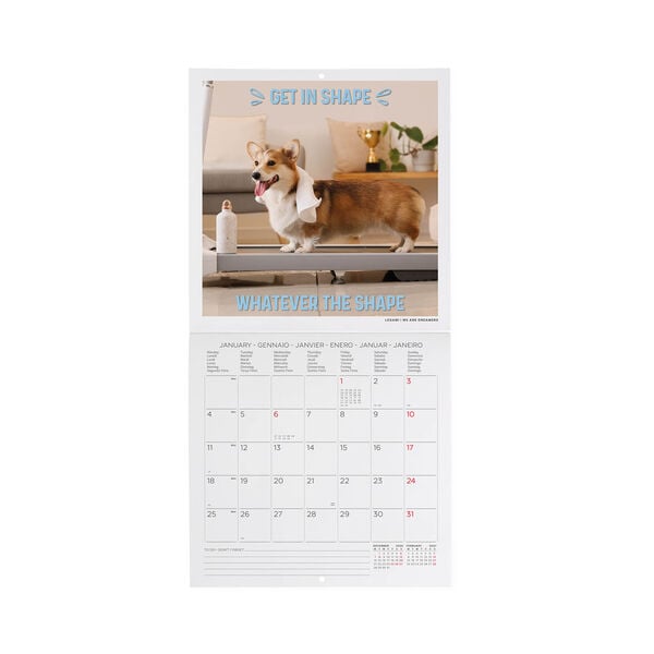 Calendario da Parete 2027 - 18 x 18 cm - Supawstar
