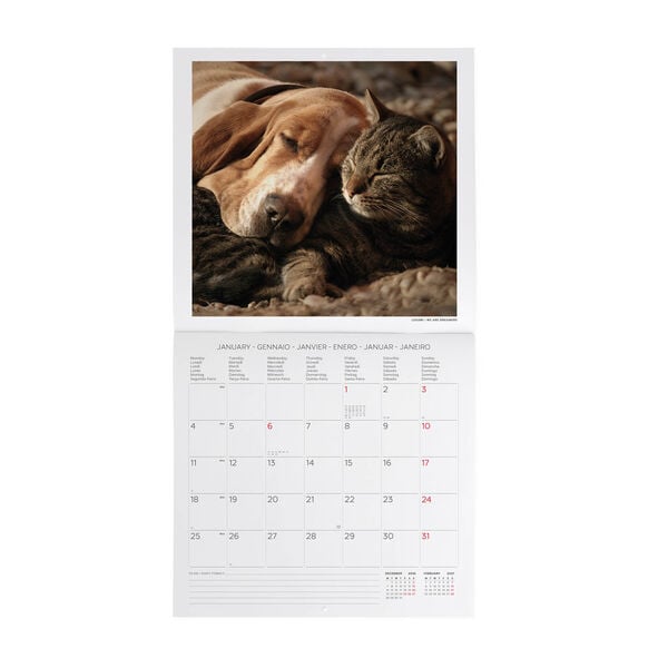 Calendario da Parete 2027 - 30 x 29 cm - Best Friends