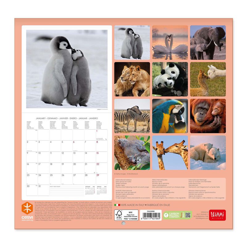 Wall Calendar 2023 - 30 x 29 Cm, , zoo