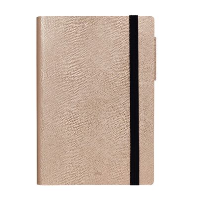 12-Month Daily Diary - Large - 2023
