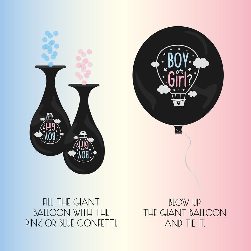 Gender Reveal Party Kit, , zoo
