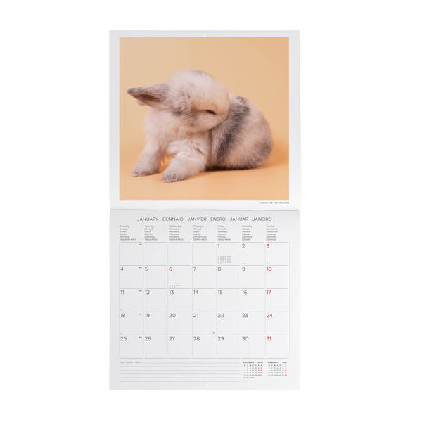 Calendario da Parete 2027 - 30 x 29 cm - Honey Bunny