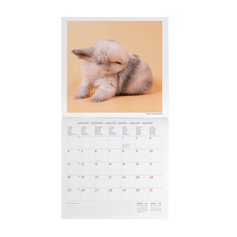 Calendario da Parete 2027 - 30 x 29 cm - Honey Bunny Calendario da Parete 2027 - 30 x 29 cm - Honey Bunny