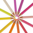 Set de 12 Crayons de Couleur - Live Colorfully, , zoo