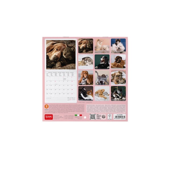 Calendario da Parete 2027 - 18 x 18 cm - Best Friends