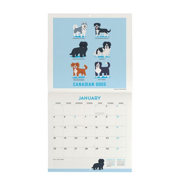Calendario da Parete 2027 - 30 x 29 cm - Dogs of the World
