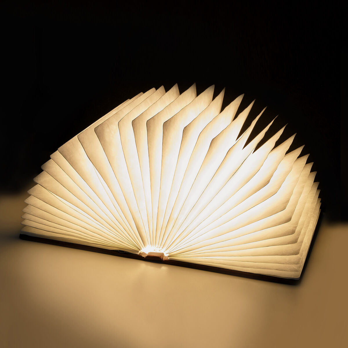 Leuchtendes Buch Large - Light Book, , zoo