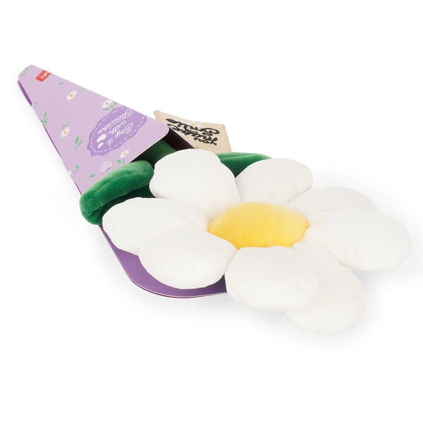 Daisy Plush Bouquet - Say it with Flowers