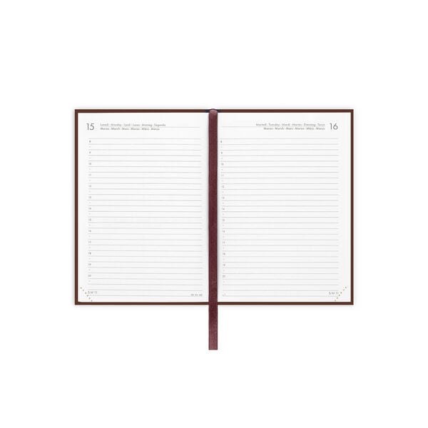 Agenda 12 Mesi Giornaliera Fotografica Small 2027 - Vintage Book