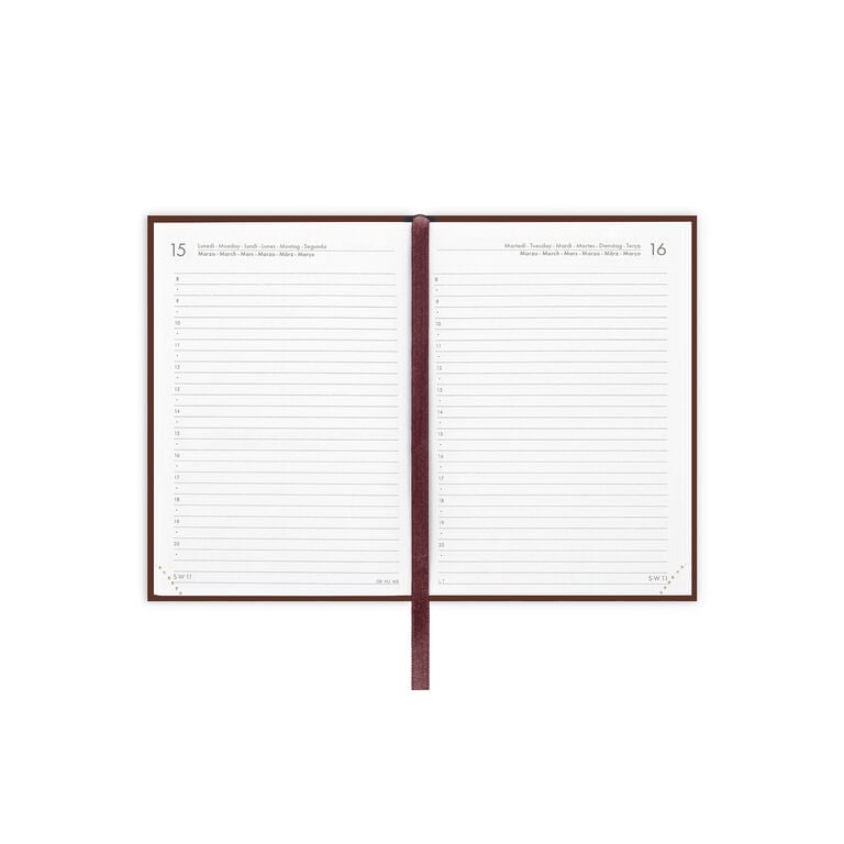 Agenda 12 Mesi Giornaliera Fotografica Small 2027 - Vintage Book