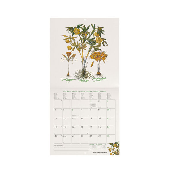 Calendario da Parete 2027 - 18 x 18 cm - Herbarium