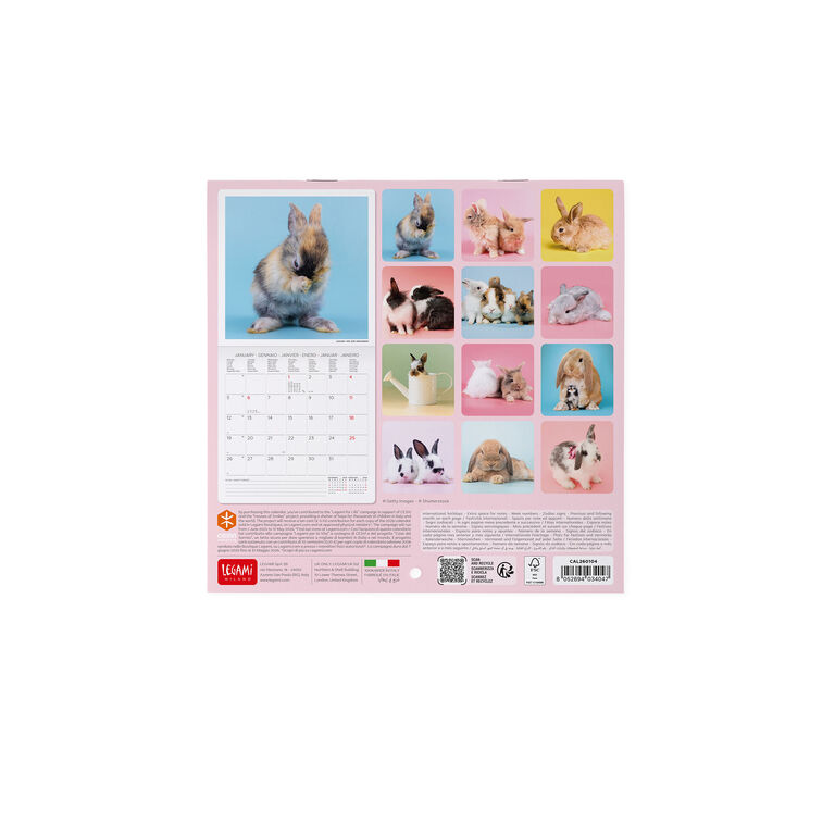 Calendrier Mural 2026 - 18 x 18 cm