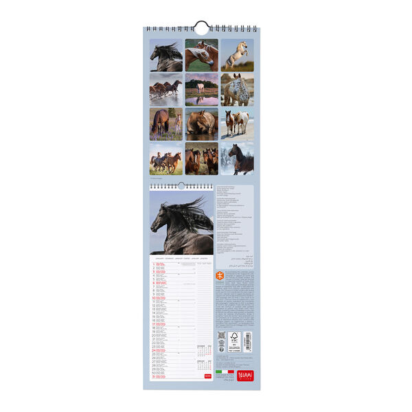 Calendario da Parete 2027 - 16 x 49 cm - Wild Horses