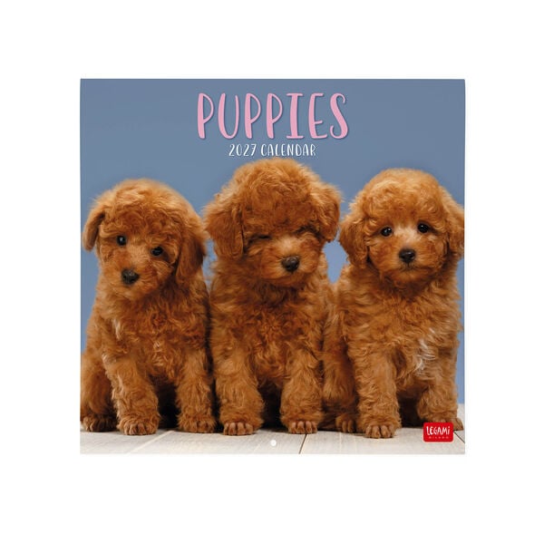 Calendario da Parete 2027 - 30 x 29 cm - Puppies