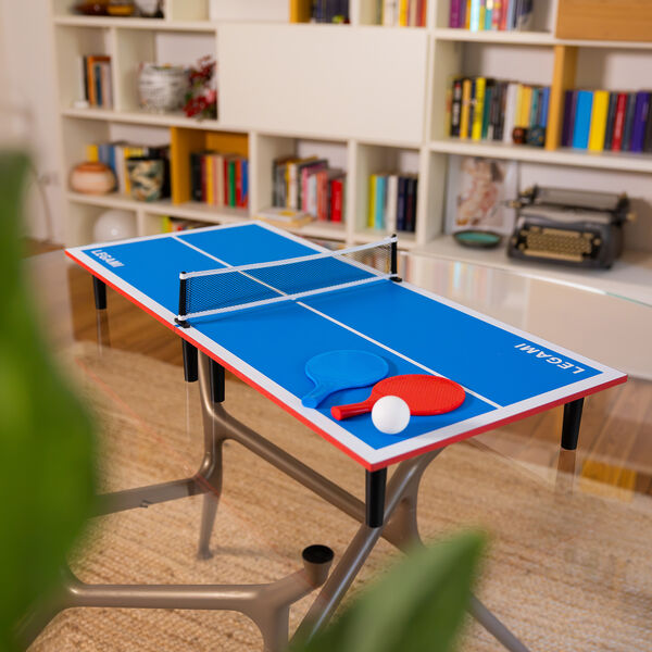 Table Tennis Table Tennis