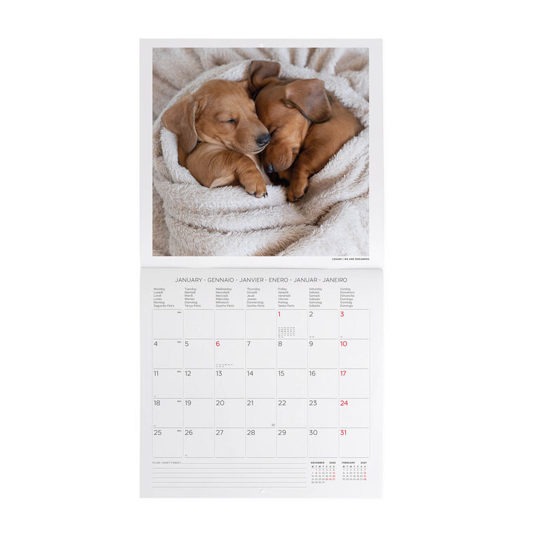 Calendario da Parete 2027 - 30 x 29 cm - Puppies Calendario da Parete 2027 - 30 x 29 cm - Puppies