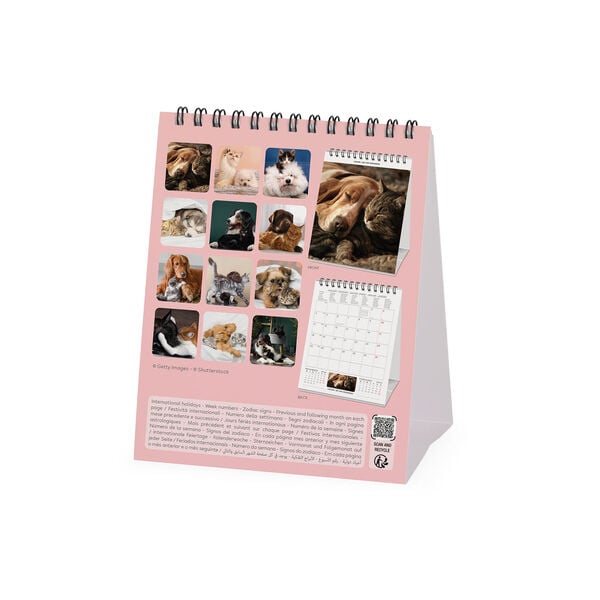 Calendario da Tavolo 2027 - 12 x 14,5 cm - Best Friends