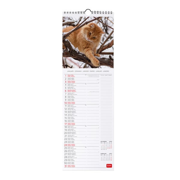Calendario da Parete 2027 - 16 x 49 cm - Cats