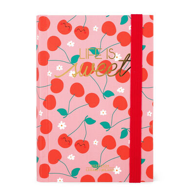 16-Month Weekly Diary - Small - With Notebook - 2023/2024