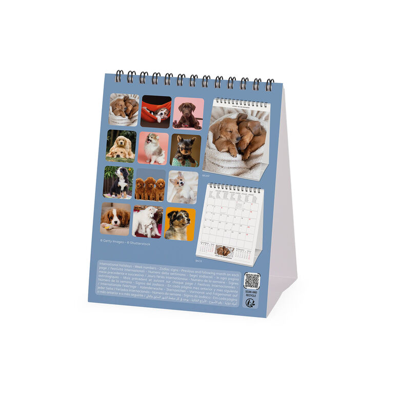 Calendario da Tavolo 2027 - 12 x 14,5 cm - Puppies