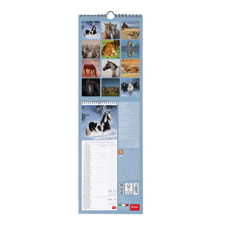 2026 Wall Calendar - 16 x 49 cm