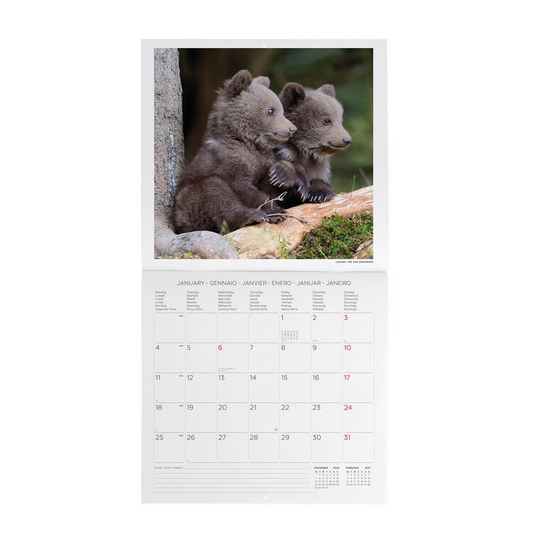 Calendario da Parete 2027 - 30 x 29 cm - Baby Animals Calendario da Parete 2027 - 30 x 29 cm - Baby Animals