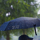 Zusammenfaltbarer Regenschirm, , zoo