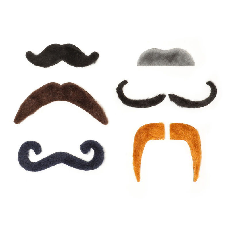 Set de 6 Fausses Moustaches Autocollantes - Hot MouStache, , zoo