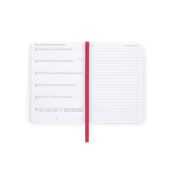 Agenda Semanal Fotográfica 2026/2027 16 Meses - Teddy Bear Pink - Small Con Libreta