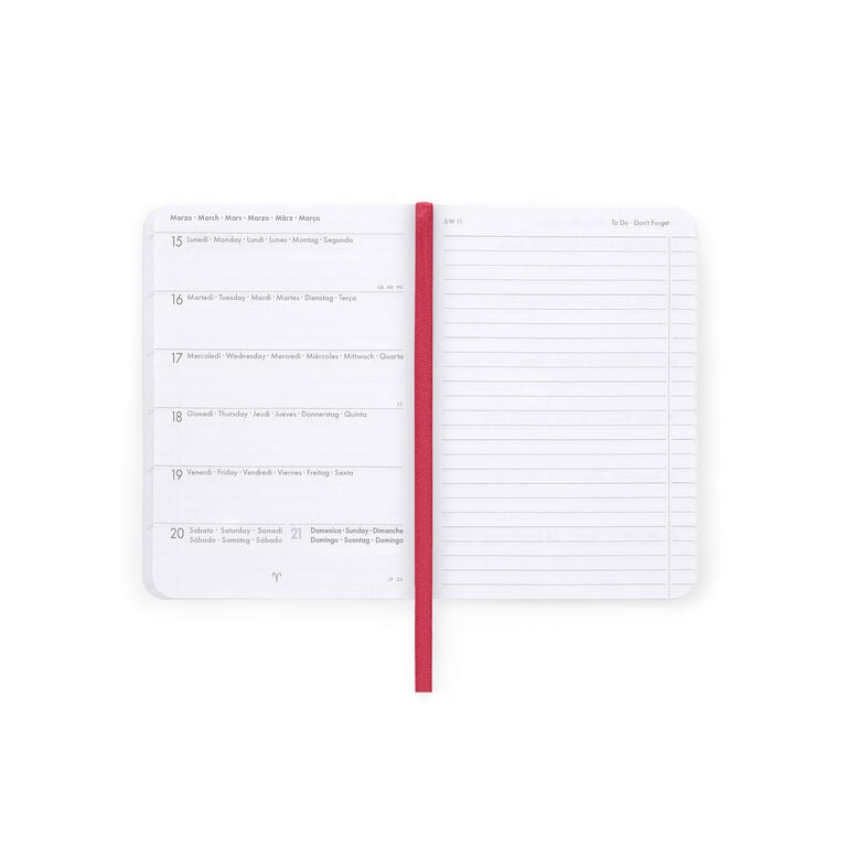 Agenda 2026/2027 Settimanale Fotografica 16 Mesi - Teddy Bear Pink - Con Notebook - Small