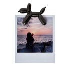 Lucky - Magnetic Photo Holder, , zoo