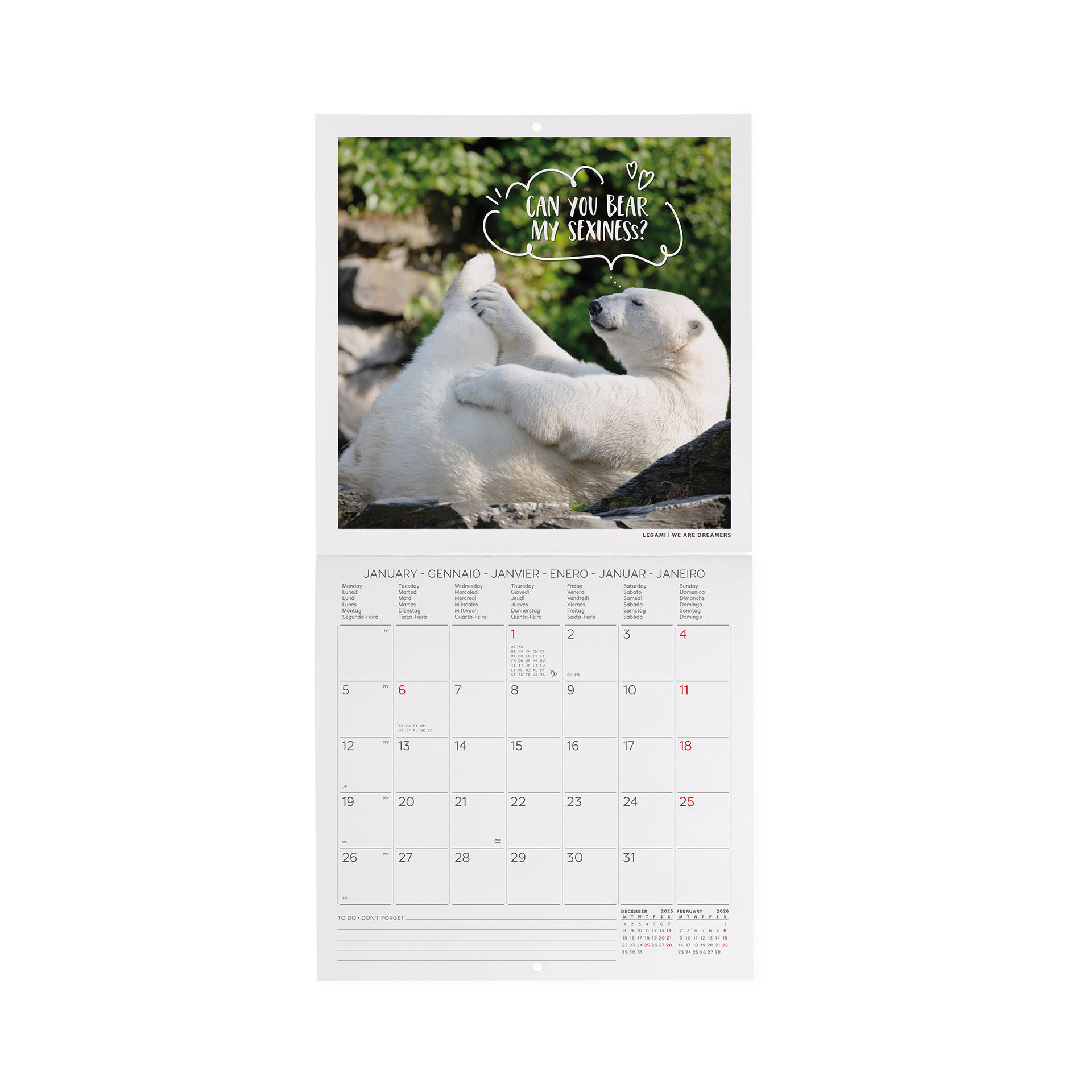 Calendrier Mural 2026 – 12 Mois 27x21 Cm – Illustrations Animaux – Fabriqué En France, Certification PEFC - 2