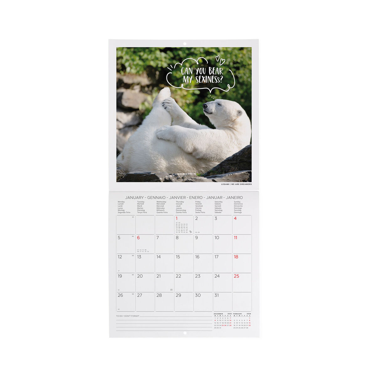 Calendrier Mural 2026 – 12 Mois 27x21 Cm – Illustrations Animaux – Fabriqué En France, Certification PEFC