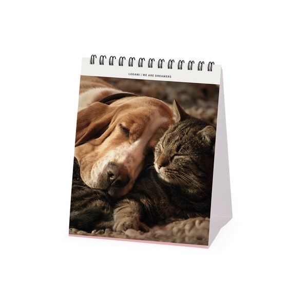Calendario da Tavolo 2027 - 12 x 14,5 cm - Best Friends