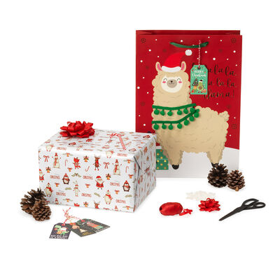 Christmas Package Set