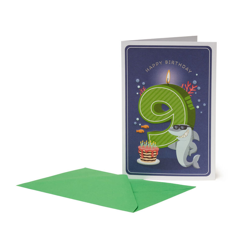 Greeting Card - Happy Birthday - Little Boys - 9 Years, , zoo