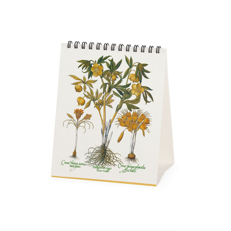 Calendario da Tavolo 2027 - 12 x 14,5 cm - Herbarium Calendario da Tavolo 2027 - 12 x 14,5 cm - Herbarium