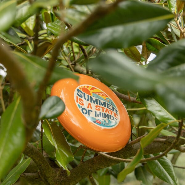 Flugscheibe - Flying disk