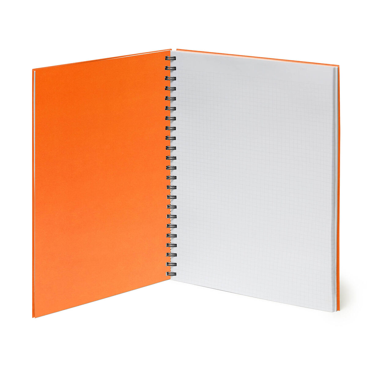 Trio - 3 in 1 Spiral Notebook - A4 Sheet - Maxi, , zoo