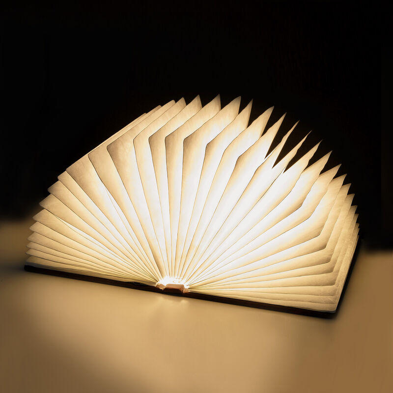 Light Book VINTAGE BOOK_2 | Legami.com