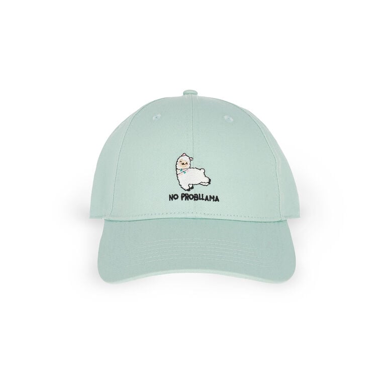 Llama Cap - What a Cap!